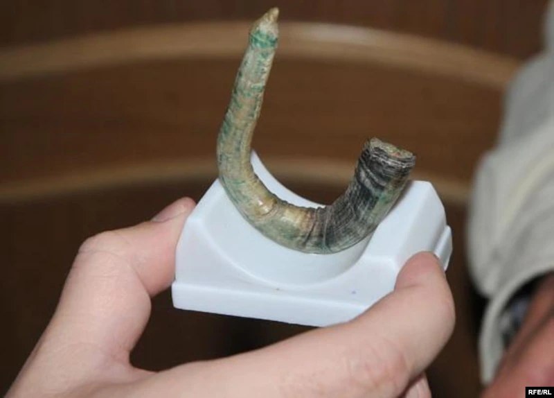 Еркек анальный баумен секс видео