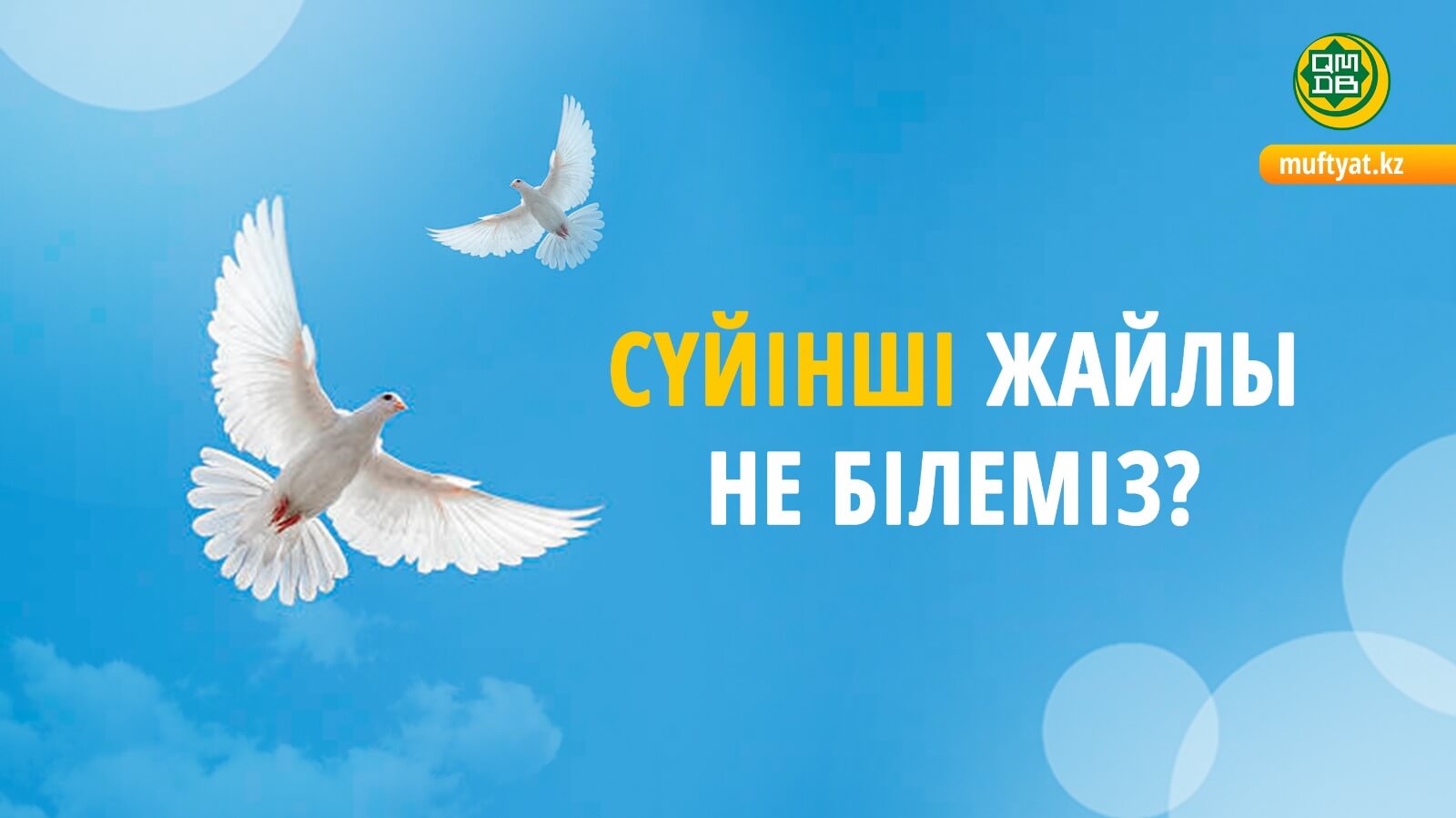 Азғын әйелдің сайты